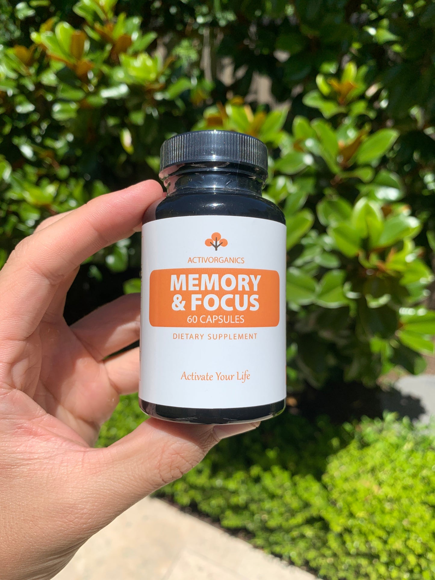 Memory & Focus Nootropics