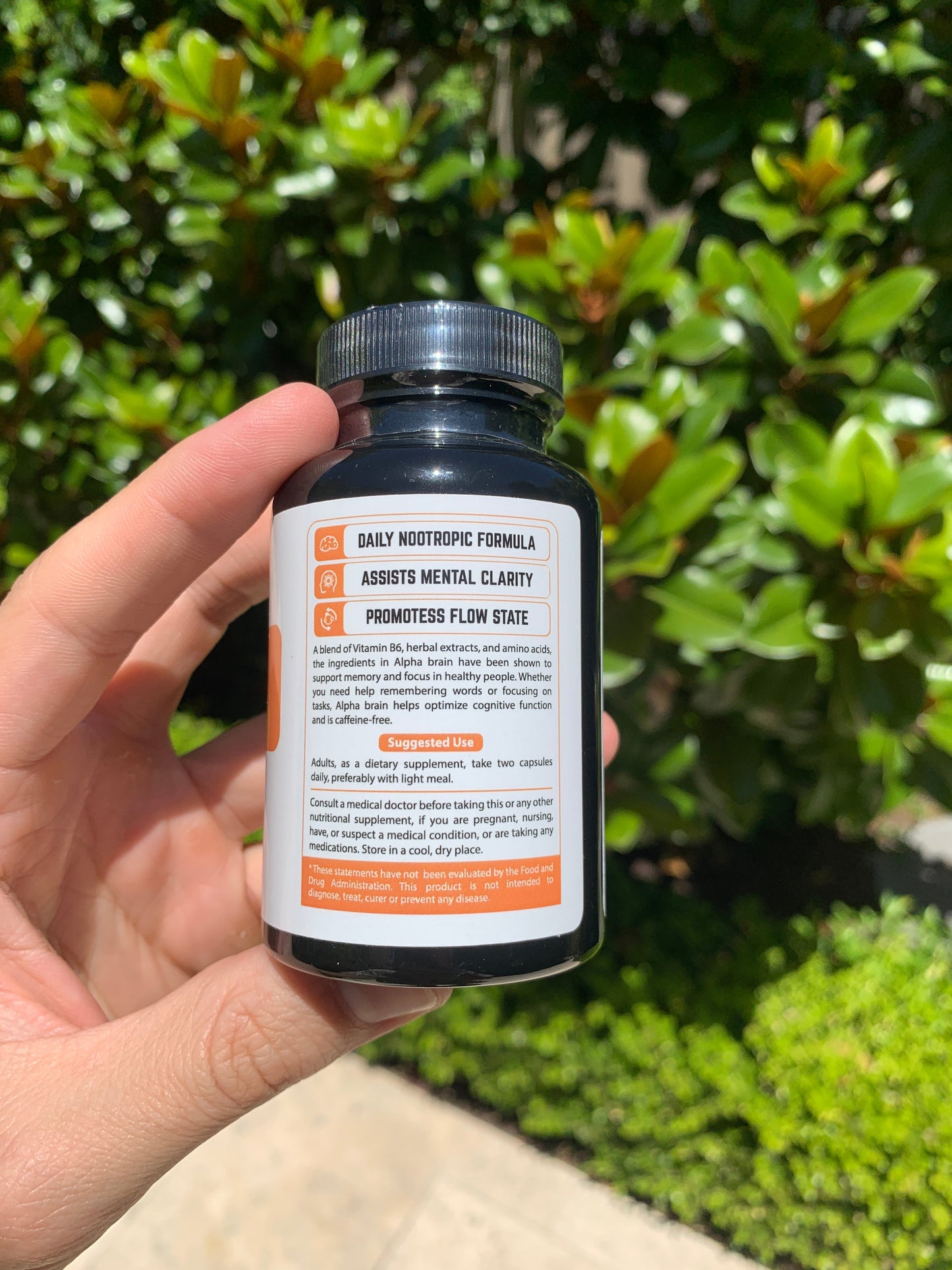 Memory & Focus Nootropics