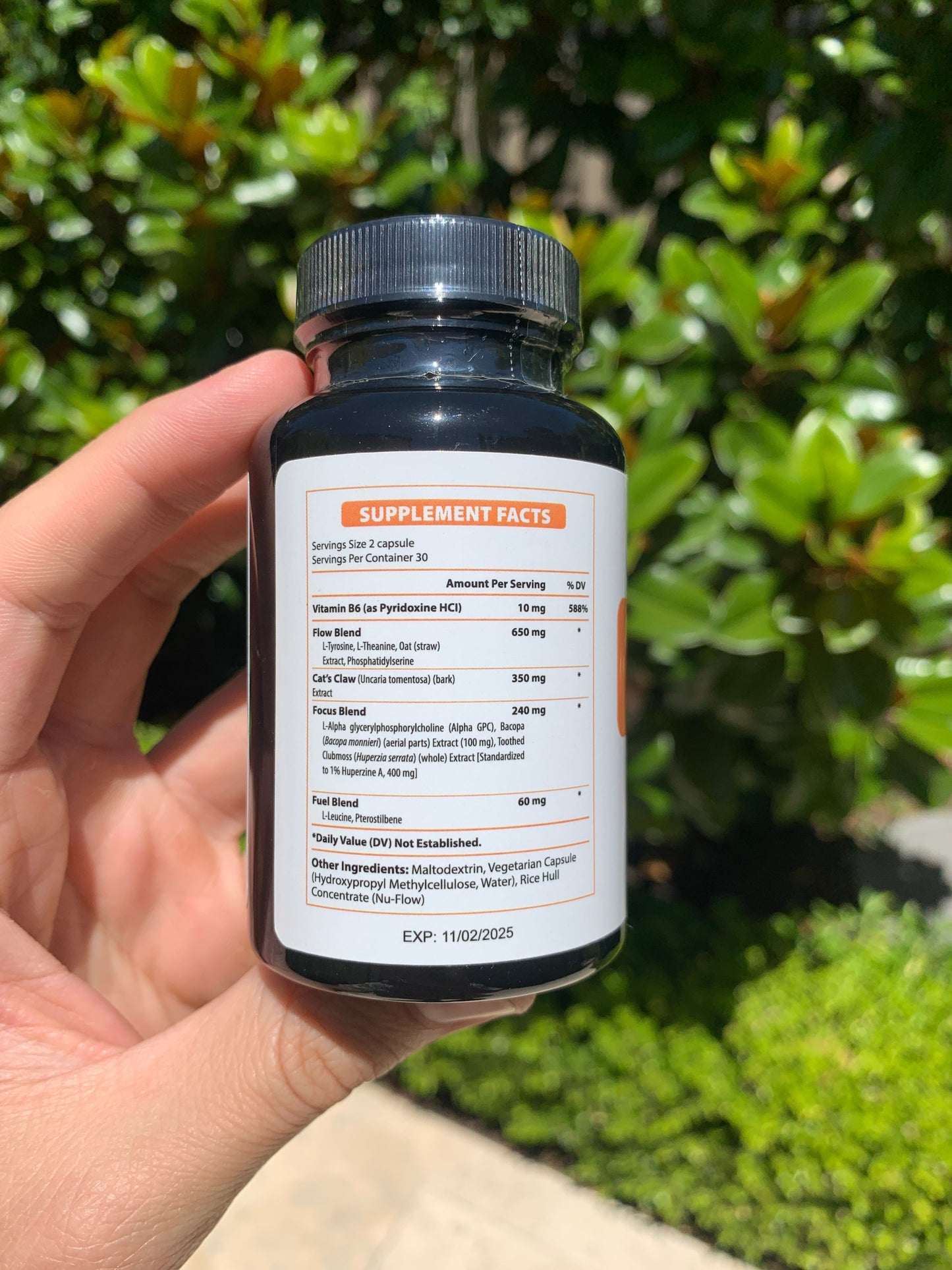 Memory & Focus Nootropics
